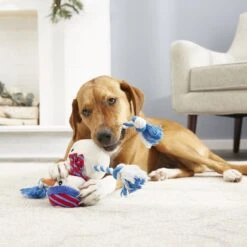 Frisco Holiday Snowman Plush With Rope Squeaky Dog Toy -The Pet Haven Shop 164645 PT2. AC SS1800 V1568910233