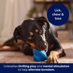 Frisco Flying Saucer Rubber Treat Dispenser Dog Toy -The Pet Haven Shop 164757 PT5. AC SS1800 V1691784247