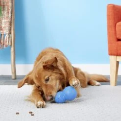 Frisco Snowman Rubber Treat Dispenser Dog Toy -The Pet Haven Shop 164769 PT4. AC SS1800 V1563808954