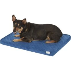 Frisco Quilted Orthopedic Pillow Cat & Dog Bed W/Removable Cover -The Pet Haven Shop 165196 PT2. AC SS1800 V1568726226