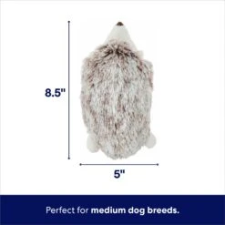 Frisco Hedgehog Plush Squeaky Dog Toy -The Pet Haven Shop 174678 PT1. AC SS1800 V1695671000
