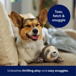 Frisco Sloth Plush Squeaky Dog Toy 12 Frisco Sloth Plush Squeaky Dog Toy -The Pet Haven Shop 174681 PT4. AC SS1800 V1695671029
