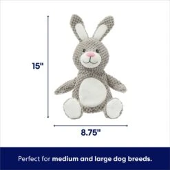 Frisco Bunny Textured Plush Squeaky Dog Toy -The Pet Haven Shop 174693 PT1. AC SS1800 V1695659153
