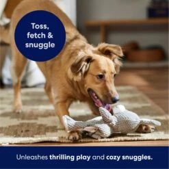 Frisco Bunny Textured Plush Squeaky Dog Toy -The Pet Haven Shop 174693 PT4. AC SS1800 V1695671088