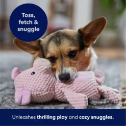 Frisco Pig Textured Plush Squeaky Dog Toy -The Pet Haven Shop 174695 PT4. AC SS1800 V1695670689