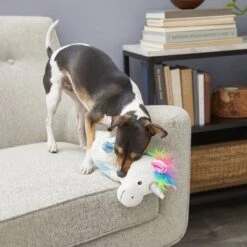 Frisco Unicorn Textured Plush Squeaky Dog Toy -The Pet Haven Shop 174699 PT2. AC SS1800 V1573492386