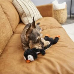 Frisco Penguin Skinny Plush Squeaky Dog Toy -The Pet Haven Shop 174707 PT2. AC SS1800 V1573492672
