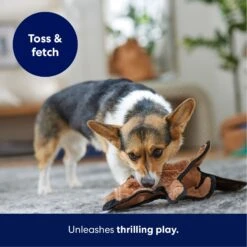 Frisco Beaver Stuffing-Free Flat Plush Squeaky Dog Toy 12 Frisco Beaver Stuffing-Free Flat Plush Squeaky Dog Toy -The Pet Haven Shop 174729 PT4. AC SS1800 V1695671063