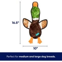 Frisco Mallard Stuffing-Free Flat Plush Squeaky Dog Toy -The Pet Haven Shop 174731 PT1. AC SS1800 V1686580079