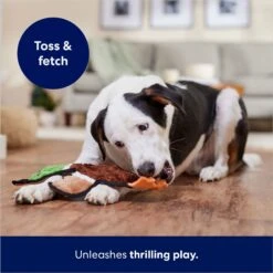 Frisco Mallard Stuffing-Free Flat Plush Squeaky Dog Toy -The Pet Haven Shop 174731 PT5. AC SS1800 V1686579082