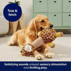 Frisco Giraffe Bobberz Plush Squeaky Dog Toy -The Pet Haven Shop 174739 PT4. AC SS1800 V1695748355