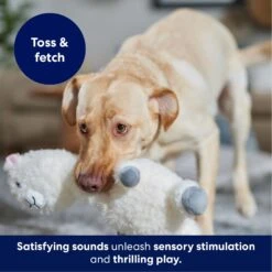 Frisco Llama Bobberz Plush Squeaky Dog Toy -The Pet Haven Shop 174741 PT4. AC SS1800 V1695671063