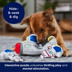 Frisco Rocket Ship Hide & Seek Puzzle Plush Squeaky Dog Toy -The Pet Haven Shop 174753 PT4. AC SS1800 V1695670750