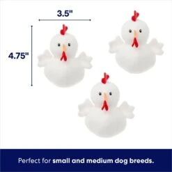 Frisco Chicken Coop Hide & Seek Puzzle Plush Squeaky Dog Toy -The Pet Haven Shop 174755 PT2. AC SS1800 V1691783968