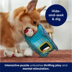 Frisco Chicken Coop Hide & Seek Puzzle Plush Squeaky Dog Toy -The Pet Haven Shop 174755 PT5. AC SS1800 V1691783971