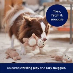 Frisco Monkeys In Tree Hide & Seek Puzzle Plush Squeaky Dog Toy Refills 10 Frisco Monkeys In Tree Hide & Seek Puzzle Plush Squeaky Dog Toy Refills -The Pet Haven Shop 174768 PT5. AC SS1800 V1691784249