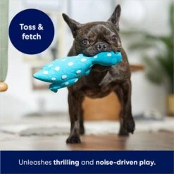 Frisco Dinosaur Latex Squeaky Dog Toy -The Pet Haven Shop 174770 PT3. AC SS1800 V1686579138