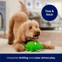 Frisco Alligator Latex Squeaky Dog Toy -The Pet Haven Shop 174772 PT3. AC SS1800 V1686579212