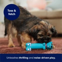 Frisco Latex Squeaky Puppy Toy -The Pet Haven Shop 174775 PT5. AC SS1800 V1691784247