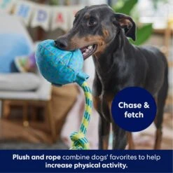 Frisco Birthday Balloon Plush With Rope Squeaky Dog Toy -The Pet Haven Shop 177807 PT3. AC SS1800 V1695241973