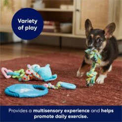 Frisco Little Friends Plush, Flyer & TPR Variety Pack Dog Toy -The Pet Haven Shop 177816 PT5. AC SS1800 V1691783909