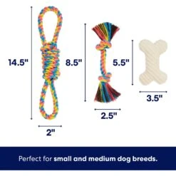 Frisco Jungle Pals Plush & Rope Variety Pack Dog Toy 9 Frisco Jungle Pals Plush & Rope Variety Pack Dog Toy -The Pet Haven Shop 177819 PT2. AC SS1800 V1686579629