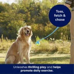 Frisco Ball Launcher & Fetch Squeaky Tennis Ball Dog Toy -The Pet Haven Shop 178477 PT3. AC SS1800 V1695241970