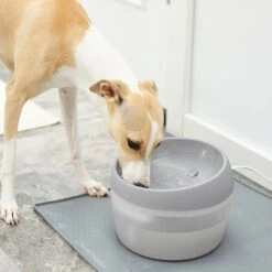 Frisco Round Dog & Cat Fountain -The Pet Haven Shop 193235 PT3. AC SS1800 V1604007140