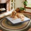 Frisco Cooling Orthopedic Pillow Dog Bed W/Removable Cover -The Pet Haven Shop 210223 MAIN. AC SS1800 V1590067616