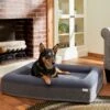 Frisco Orthopedic Rectangular Bolster Cat & Dog Bed W/Removable Cover -The Pet Haven Shop 210226 MAIN. AC SS1800 V1590067652