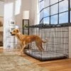 Frisco Heavy Duty Fold & Carry Double Door Collapsible Wire Dog Crate & Mat Kit 2 Frisco Heavy Duty Fold & Carry Double Door Collapsible Wire Dog Crate & Mat Kit -The Pet Haven Shop 212618 MAIN. AC SS1800 V1667227320