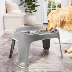 Frisco Elevated Dog Diner 9 Frisco Elevated Dog Diner -The Pet Haven Shop 213426 PT3. AC SS1800 V1583167385