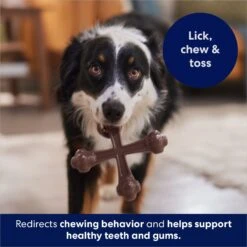 Frisco Bacon Flavor Tough Nylon Dog Chew Toy 12 Frisco Bacon Flavor Tough Nylon Dog Chew Toy -The Pet Haven Shop 213430 PT5. AC SS1800 V1691783968