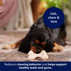 Frisco Chicken Flavor Tough Nylon Dog Chew Toy -The Pet Haven Shop 213432 PT5. AC SS1800 V1691784031