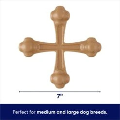 Frisco Peanut Butter Flavor Tough Nylon Dog Chew Toy -The Pet Haven Shop 213436 PT1. AC SS1800 V1692019951