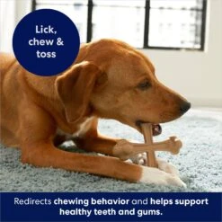 Frisco Peanut Butter Flavor Tough Nylon Dog Chew Toy -The Pet Haven Shop 213436 PT5. AC SS1800 V1692019972