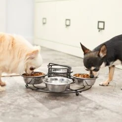 Frisco Multi Pet Feeding 4-Bowls Stainless Steel Dog & Cat Bowls, 0.5 Cup 16 Frisco Multi Pet Feeding 4-Bowls Stainless Steel Dog & Cat Bowls, 0.5 Cup -The Pet Haven Shop 213787 PT7. AC SS1800 V1599090064