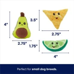 Frisco Guacamole Hide & Seek Puzzle Plush Squeaky Dog Toy Refills -The Pet Haven Shop 213832 PT1. AC SS1800 V1692989462