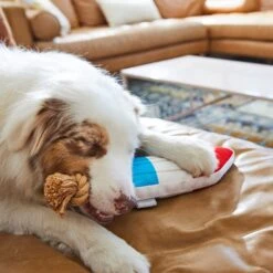 Frisco Summer Fun Plush & Rope Popsicle Dog Toy -The Pet Haven Shop 214703 PT6. AC SS1800 V1597596505