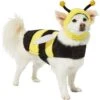 Frisco Bumble Bee Dog & Cat Costume -The Pet Haven Shop 215492 MAIN. AC SS1800 V1624542927