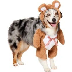 Frisco Front Walking Teddy Bear Dog & Cat Costume -The Pet Haven Shop 215507 PT3. AC SS1800 V1624402415