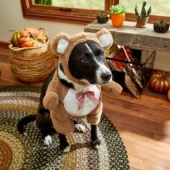 Frisco Front Walking Teddy Bear Dog & Cat Costume -The Pet Haven Shop 215507 PT8. AC SS1800 V1689628224