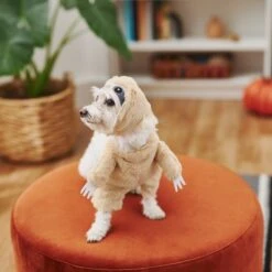 Frisco Front Walking Sloth Dog & Cat Costume -The Pet Haven Shop 215539 PT8. AC SS1800 V1599141353