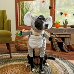 Frisco Front Walking Koala Dog & Cat Costume -The Pet Haven Shop 215546 PT8. AC SS1800 V1599139863