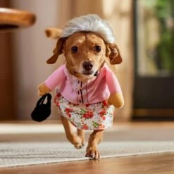 Frisco Front Walking Granny Dog & Cat Costume -The Pet Haven Shop 215577 PT8. AC SS1800 V1689621333