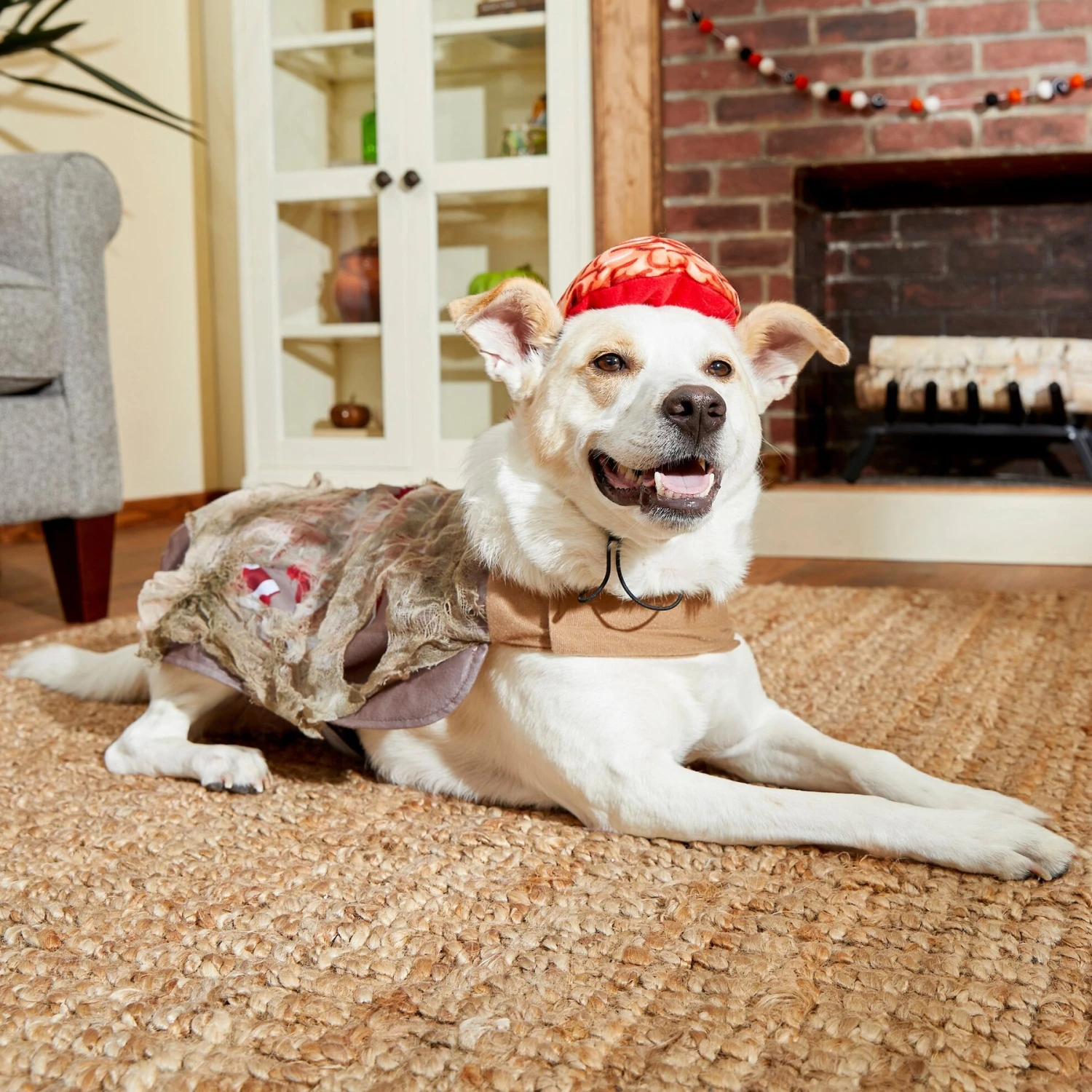 Frisco Zombie Dog & Cat Costume 8 Frisco Zombie Dog & Cat Costume - Image 6