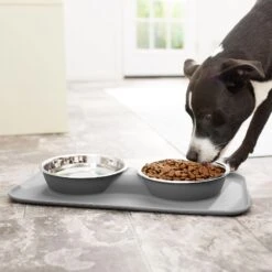 Frisco Heavy Duty Non-Skid Silicone Diner -The Pet Haven Shop 215979 PT6. AC SS1800 V1599089765