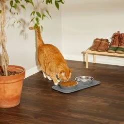 Frisco Heavy Duty Non-Skid Silicone Diner -The Pet Haven Shop 215979 PT7. AC SS1800 V1599090986