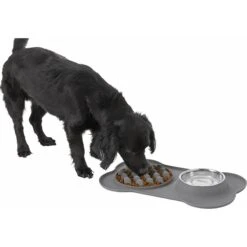Frisco Silicone Slow Feeder Mat With Stainless Steel Bowl -The Pet Haven Shop 215983 PT5. AC SS1800 V1605666752