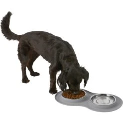 Frisco Double Stainless Steel Pet Bowl With Silicone Mat -The Pet Haven Shop 215986 PT5. AC SS1800 V1605652436